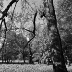 Trzy plus dwoje Trzy plus dwoje